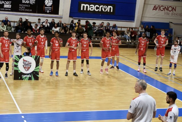Les Dragons frustrés en Avignon